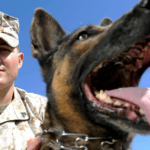 Honoring America’s Military Dogs