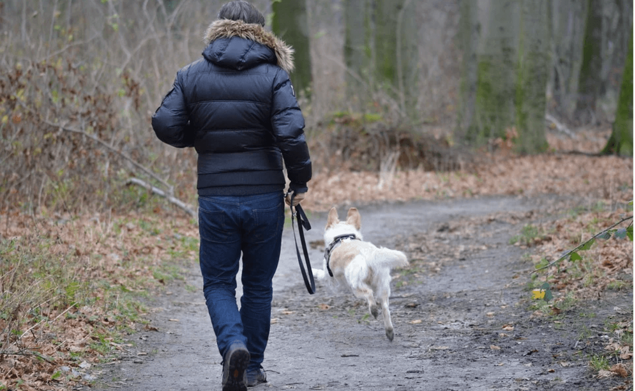 man running with white dog on trail in cold weather