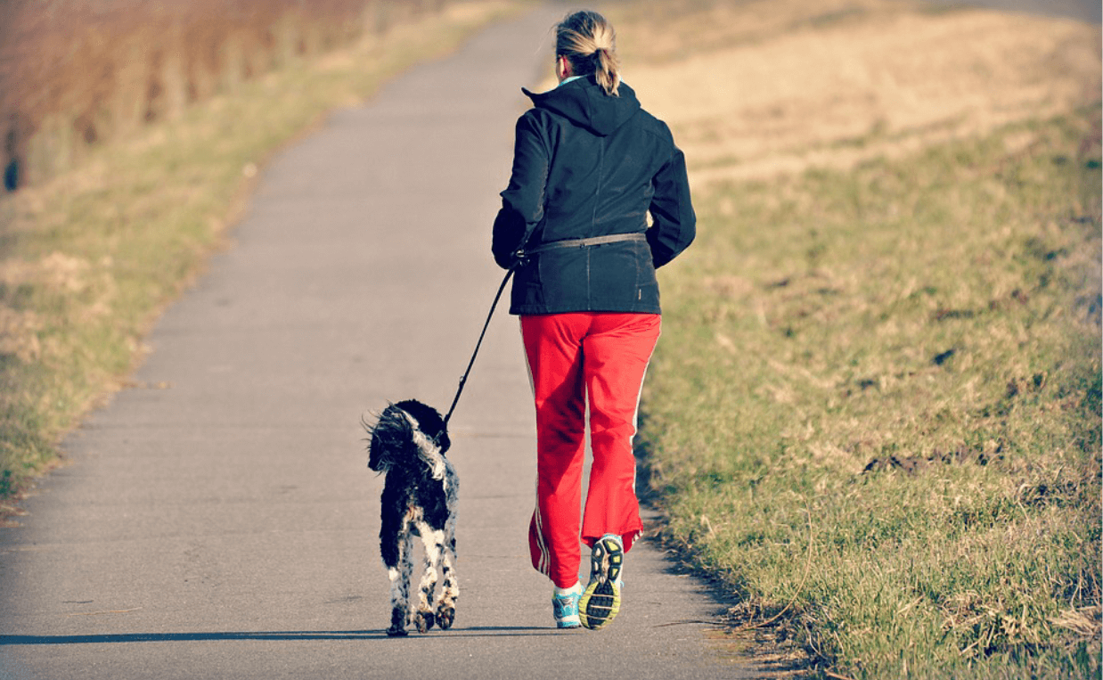 woman running with spaniel dog on road