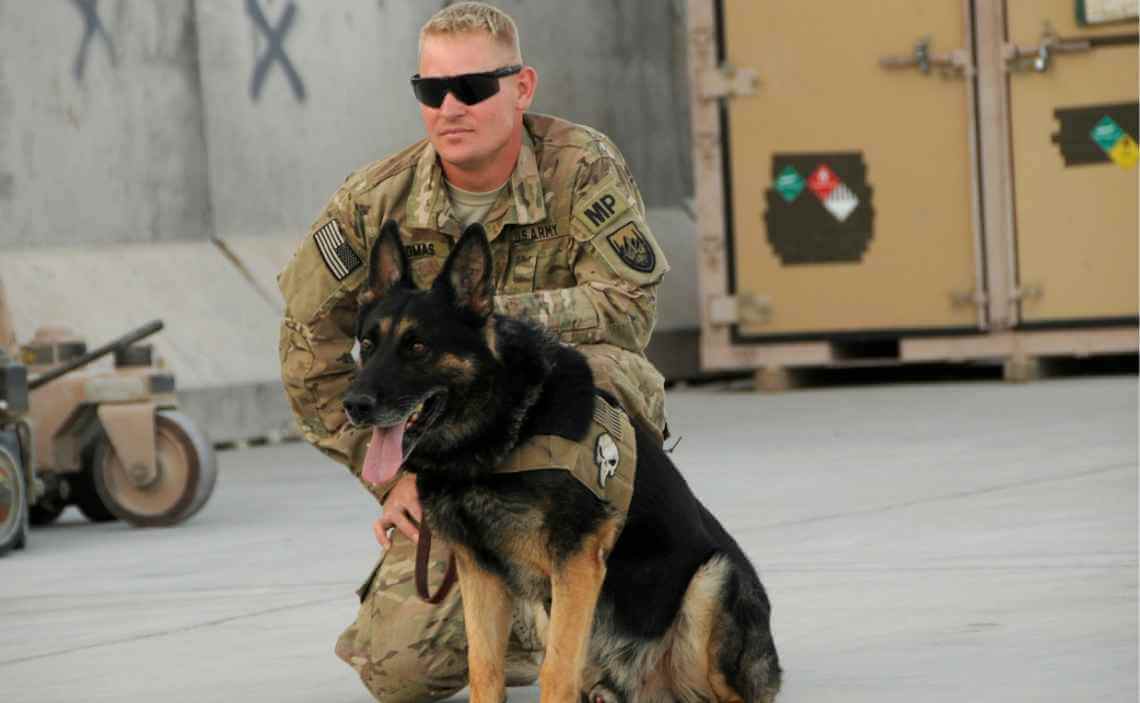 military dog with handler older soldier with sunglasses