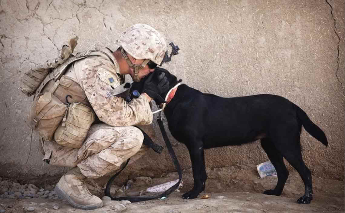 soldier happy to see dog