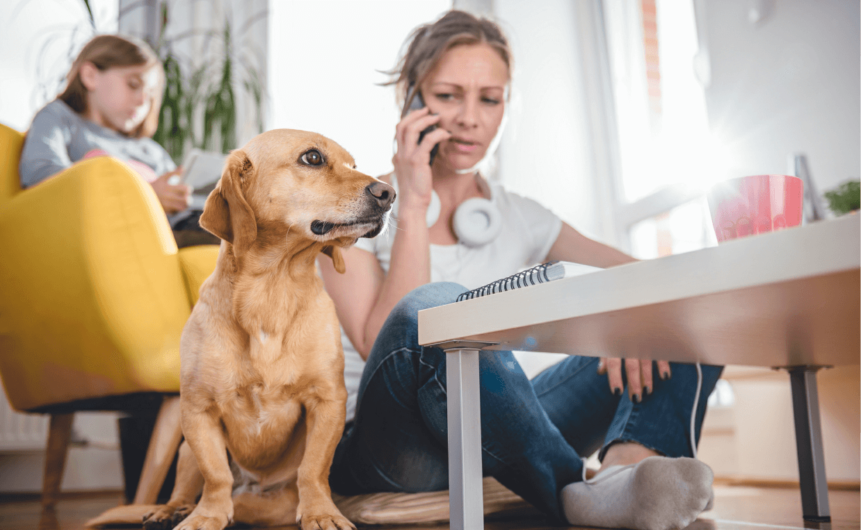 9 Ways to Help Small Business Owners Including Canine Campus Customers