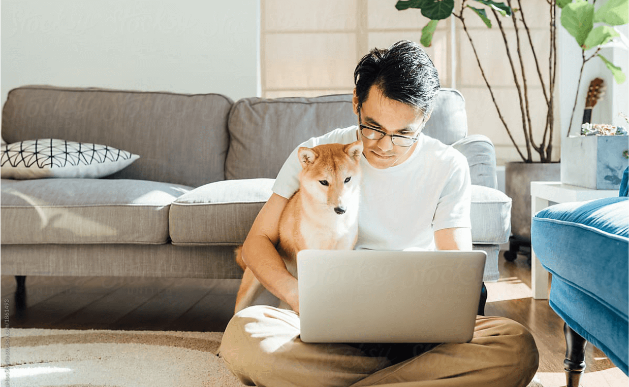 small business owner man with laptop and dog