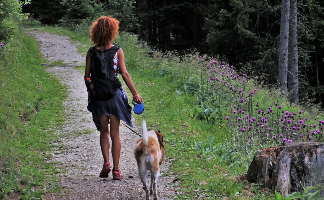 DOG FOLLOWING WOMAN ON FOREST TRAIL