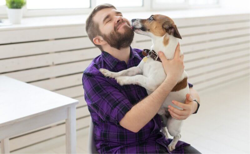 extra blog image - EMOTIONAL SUPPORT DOGS - Canine Campus Dog Daycare