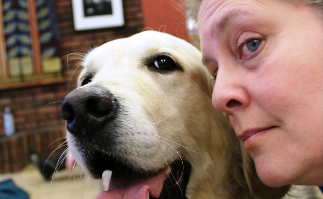 close up of woman and yellow lab dog