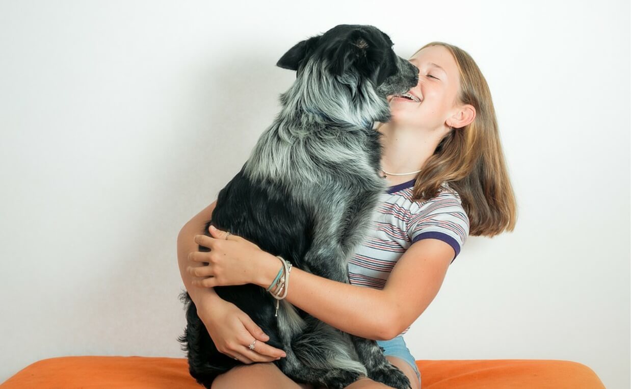 girl holding black, white and gray long-haired dog on lap