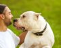 dog showing love and affection for his owner