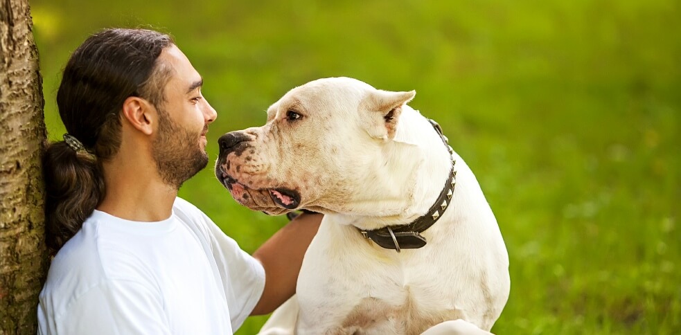 25 Endearing Ways Dogs Show Affection - Canine Campus Dog Daycare & Boarding