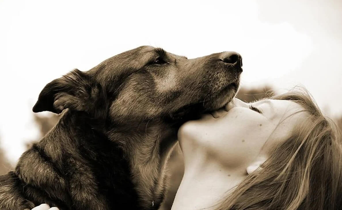 brown sepia image dog and woman affection