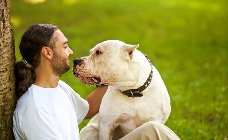 how dogs show each other affection