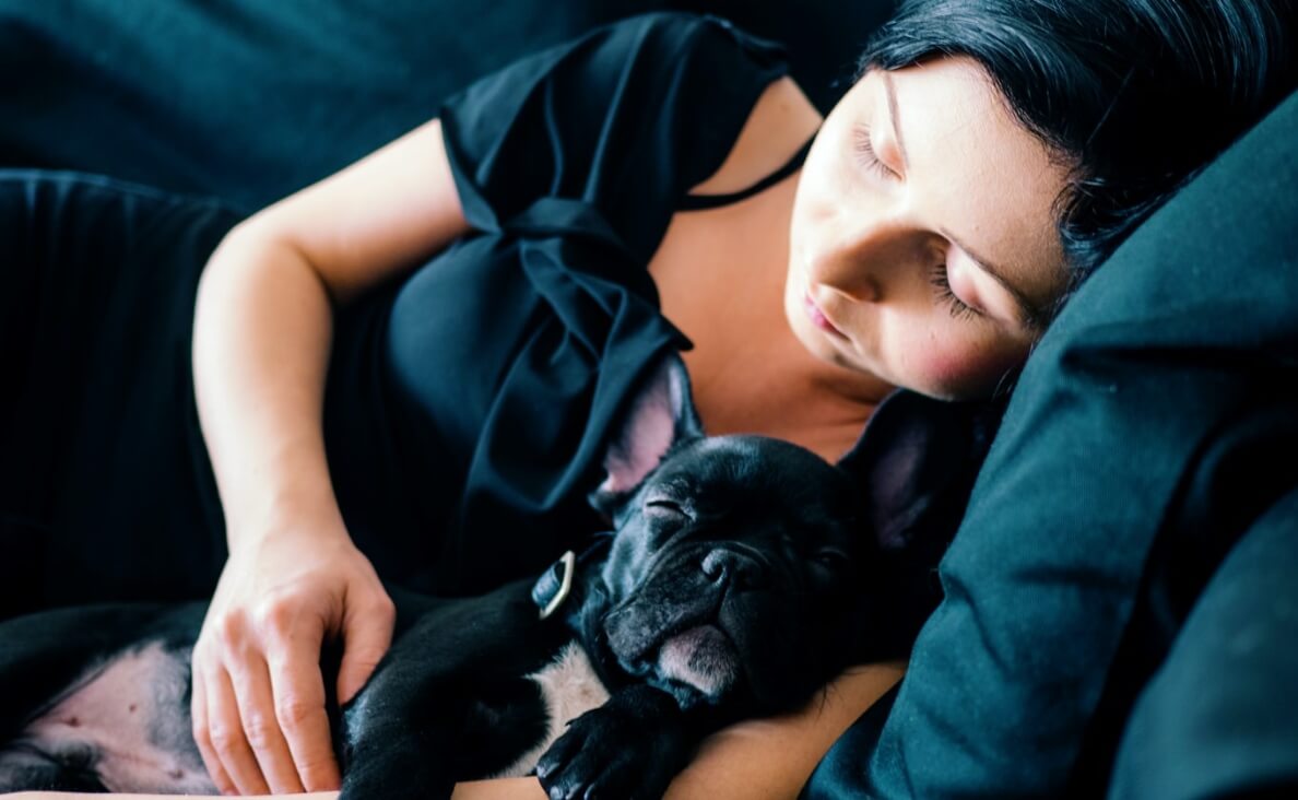 sweet image woman sleeping on couch with black french bulldog in arms
