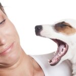 5 Reasons Your Dog Has Bad Breath