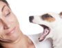 5 Reasons Your Dog Has Bad Breath