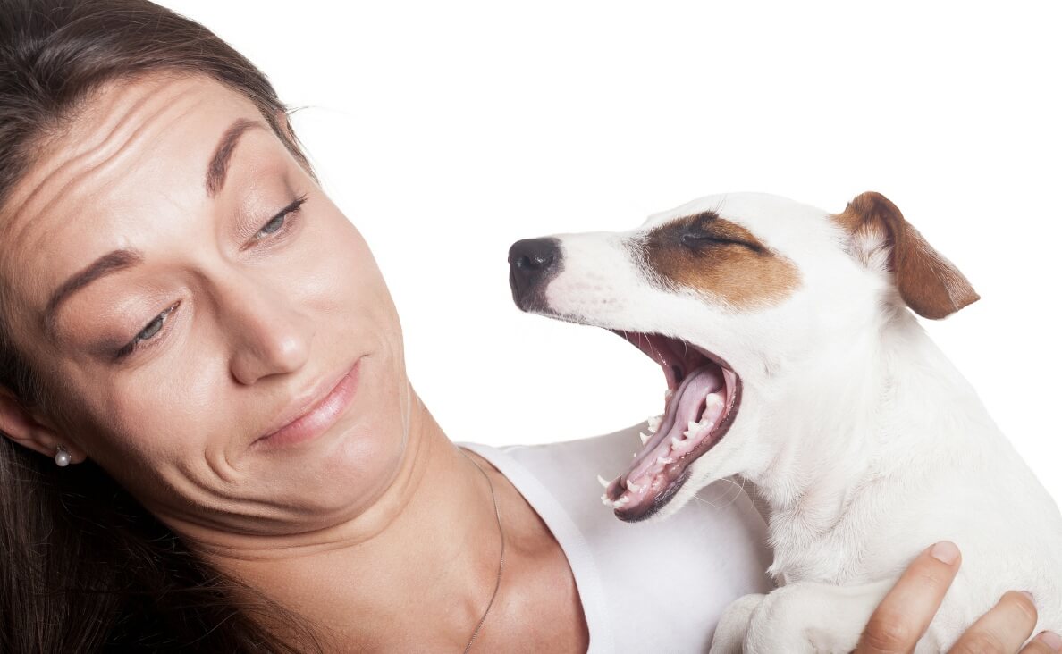 what causes bad breath in puppies