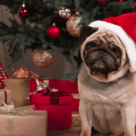 11 Best Dog-Themed Christmas Decorating Ideas