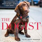 the dogist