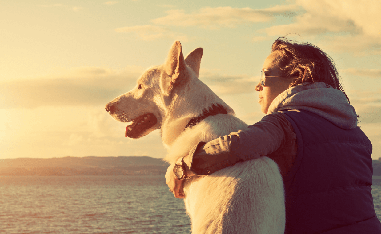 WOMAN AND DOG SUNSET