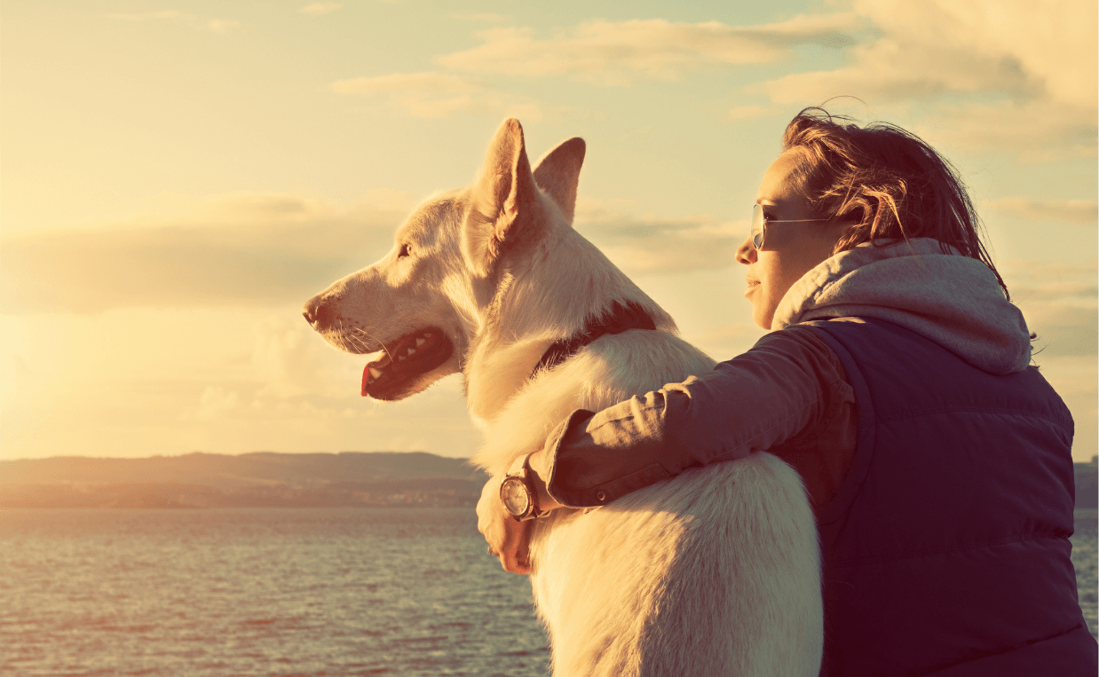 Women was a dog. Собака друг человека. Человек и животное. Обнимает собаку. Человек с собакой.