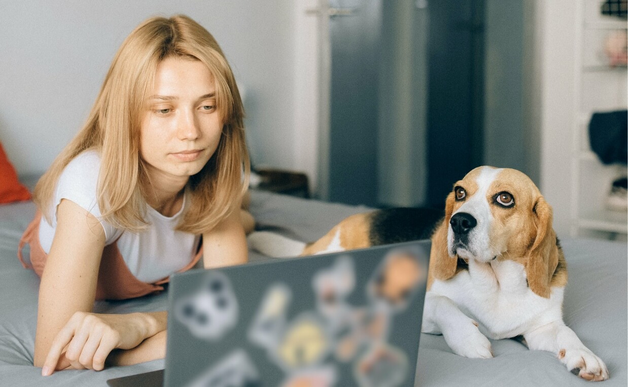 woman working on laptop on bed with beagle dog