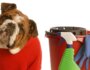 Dog Friendly Cleaning Solutions