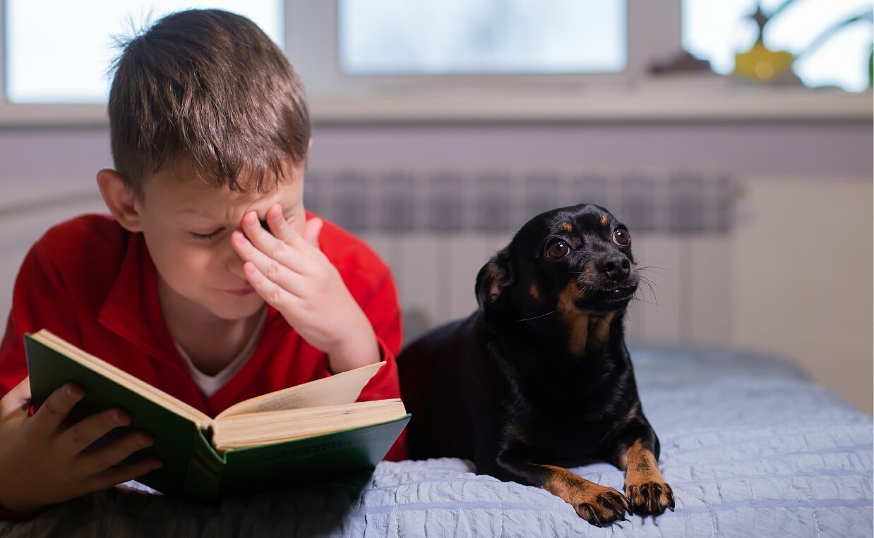 boy having trouble reading with chihuahua by his side