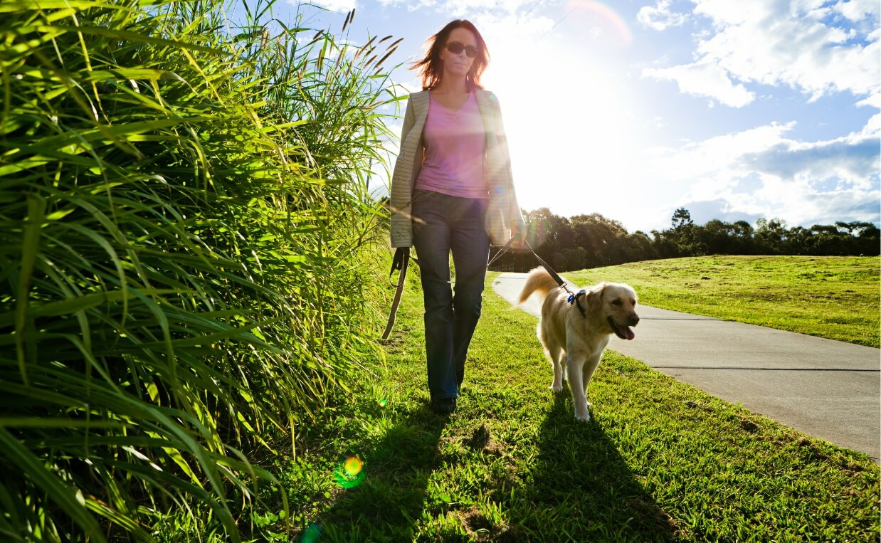 10 Ways You and Your Dog Can Relieve Stress Together