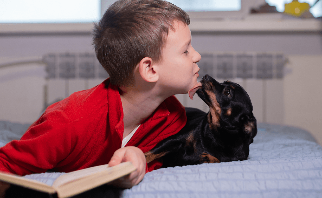 dog licks boy who was stressed reading