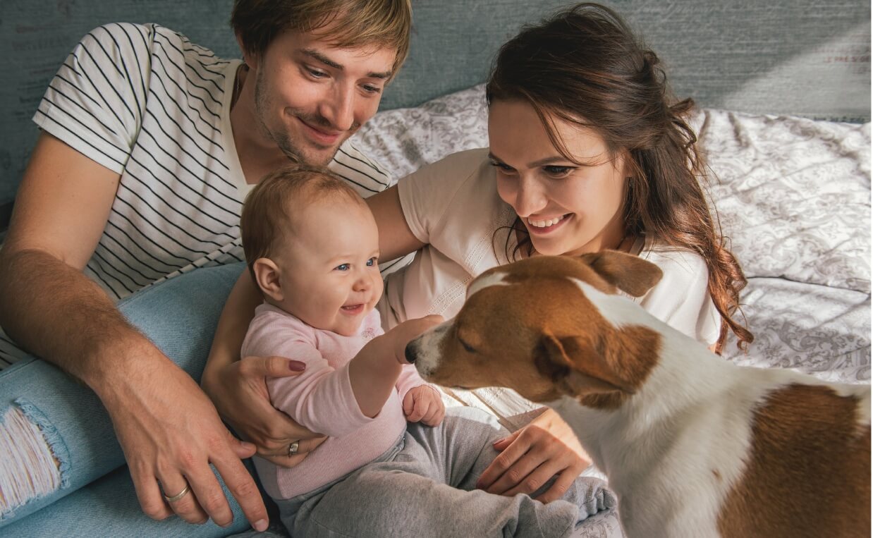 Here are six tips for keeping everyone safe and happy during the early days when you bring a new baby home.