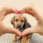 Does Your Dog Know You Love Him or Her? Here's How to Tell