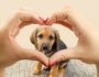 Does Your Dog Know You Love Him or Her? Here's How to Tell