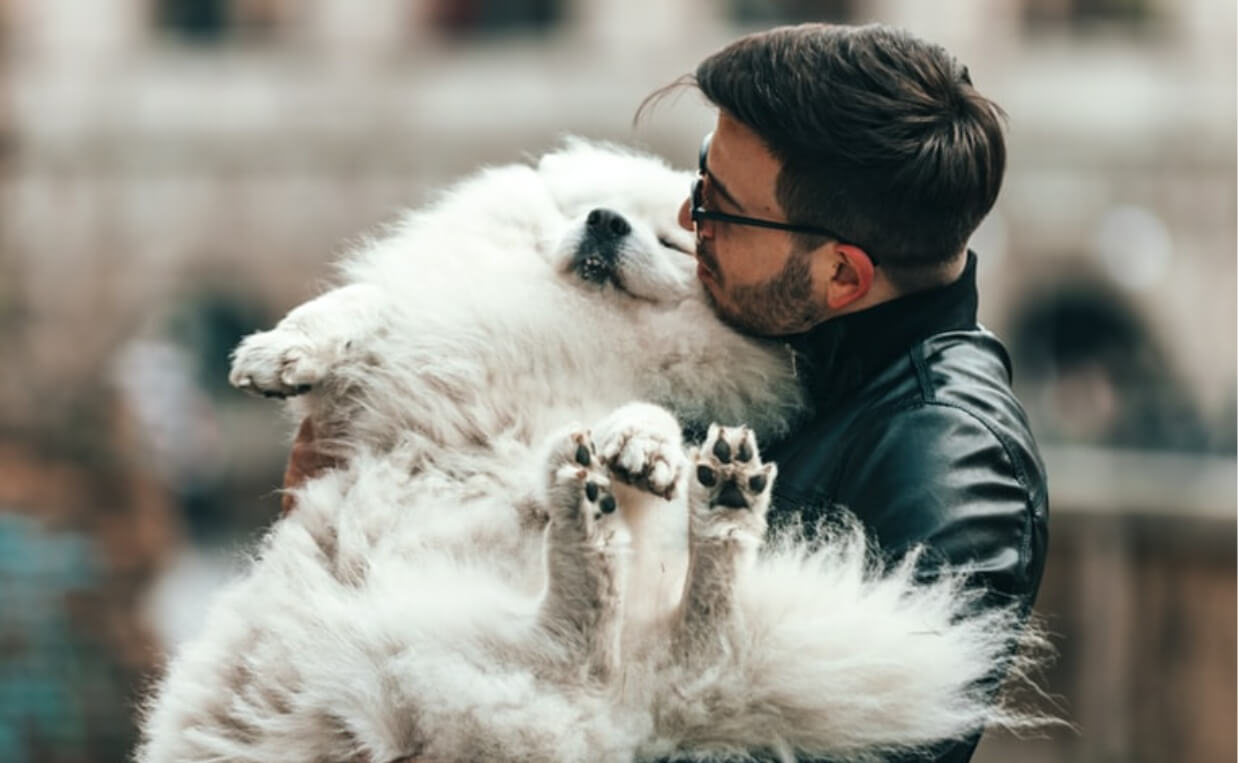 HEALTH ISSUES LARGE BREED MAN HOLDING GREAT PYRENESE DOG