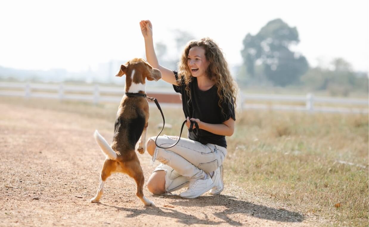 GIRL TRAINING BEAGLE