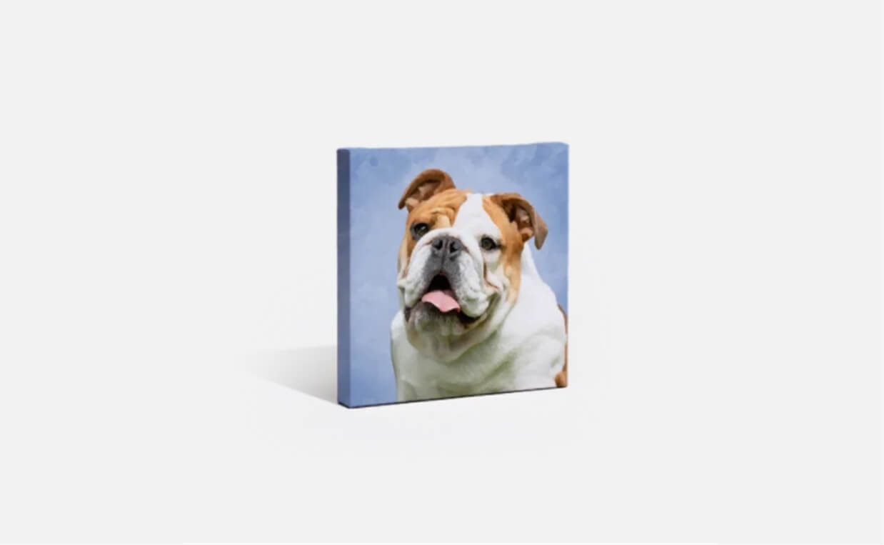 canvaspop dog portraits