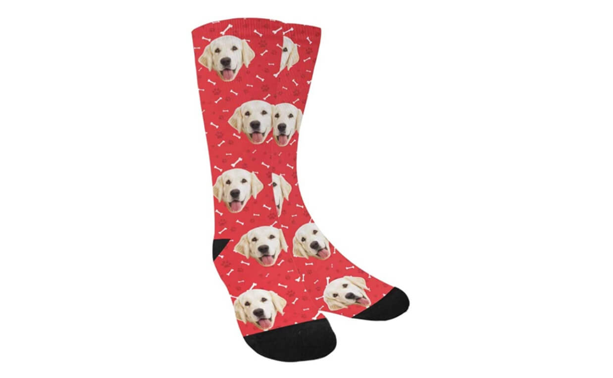 dog socks