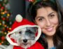 4 Ways Your Dog Can Help You Stay Stress Free During the Holidays