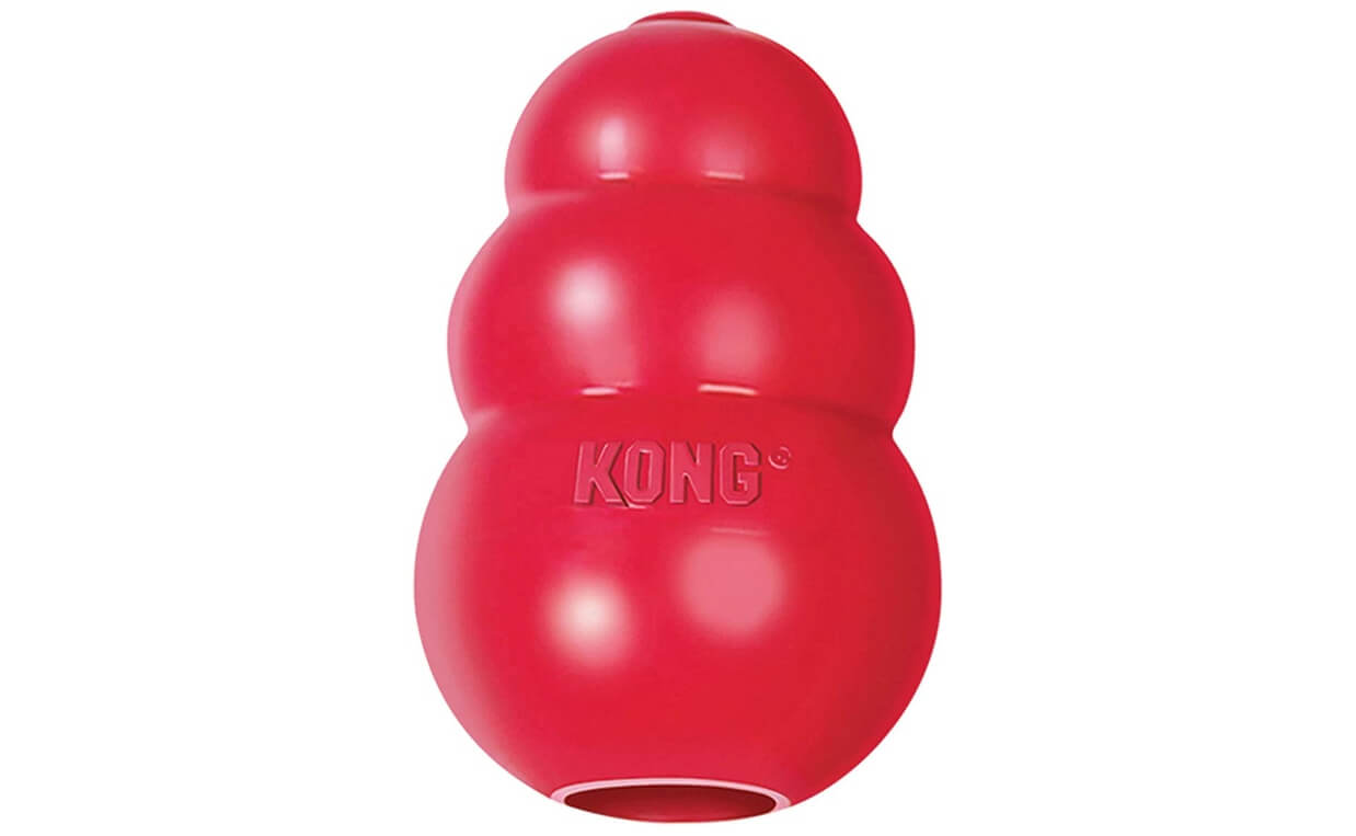 kong anxiety toy