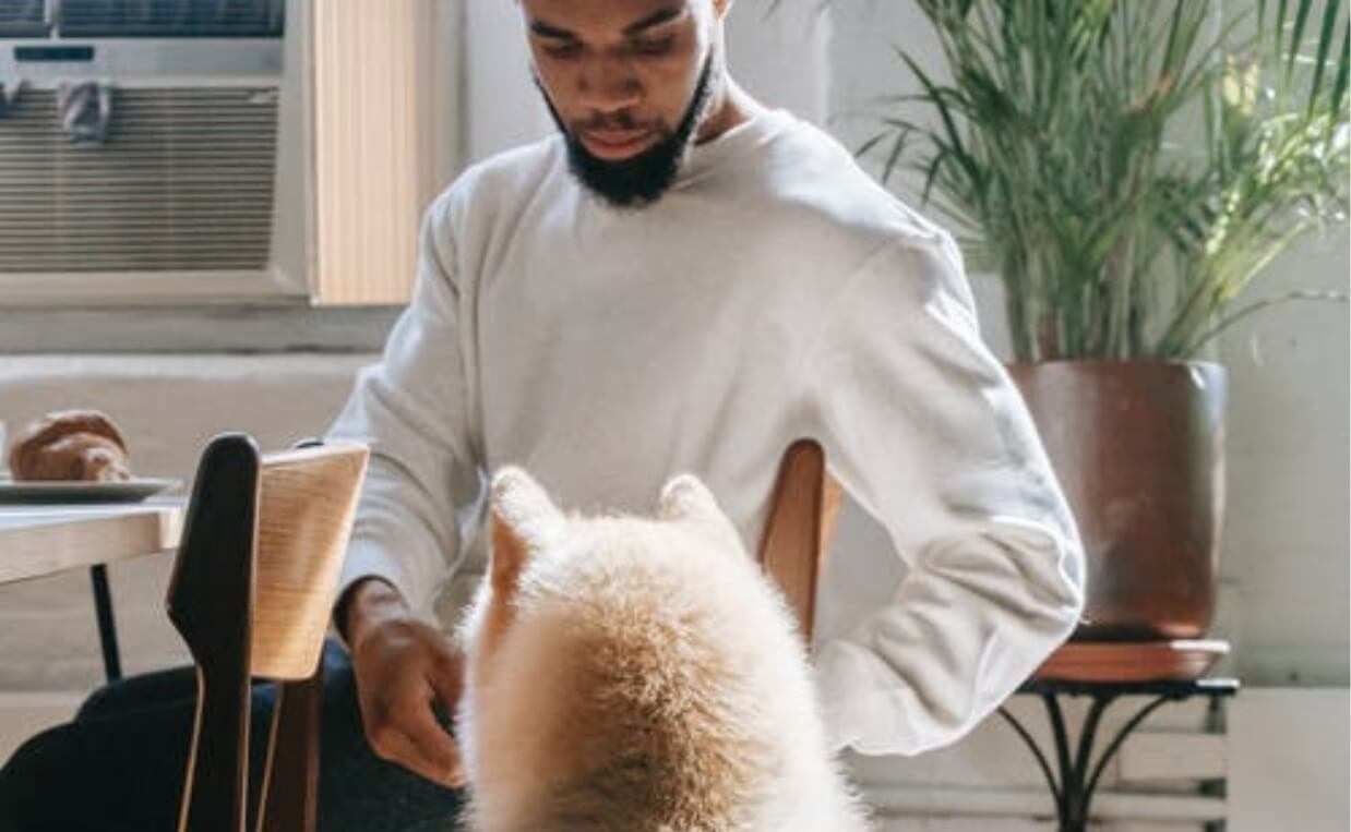 man feeding large fluffy dog