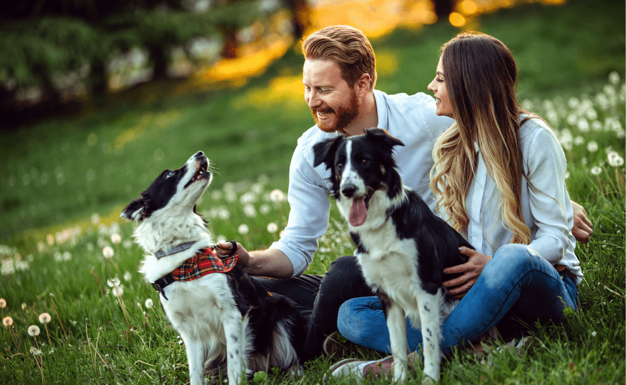 ADD ANOTHER DOG couple playing with dogs