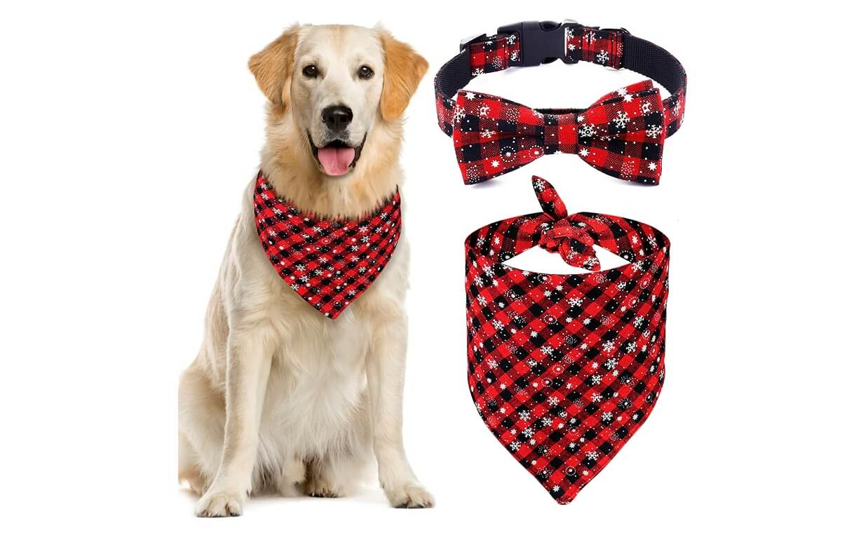 christmas plaid and snowflakes holiday collar