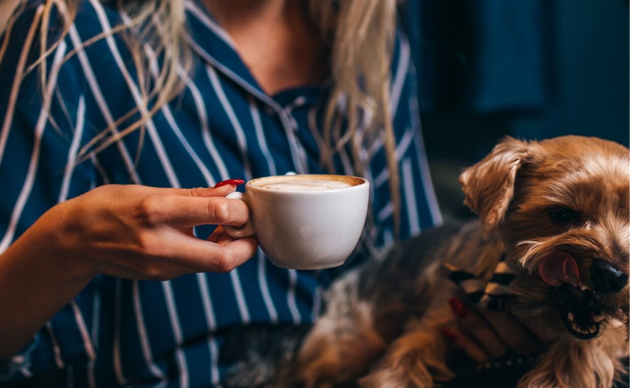 CELEBRATE VALENTINES DAY AT A COFFEE SHOP WITH YOUR DOG