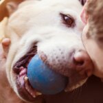 8 Ways to Make Your Dog's Life Happier