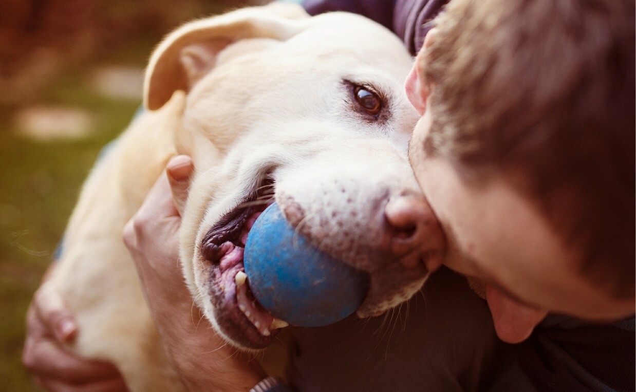 8 Ways to Make Your Dog's Life Happier