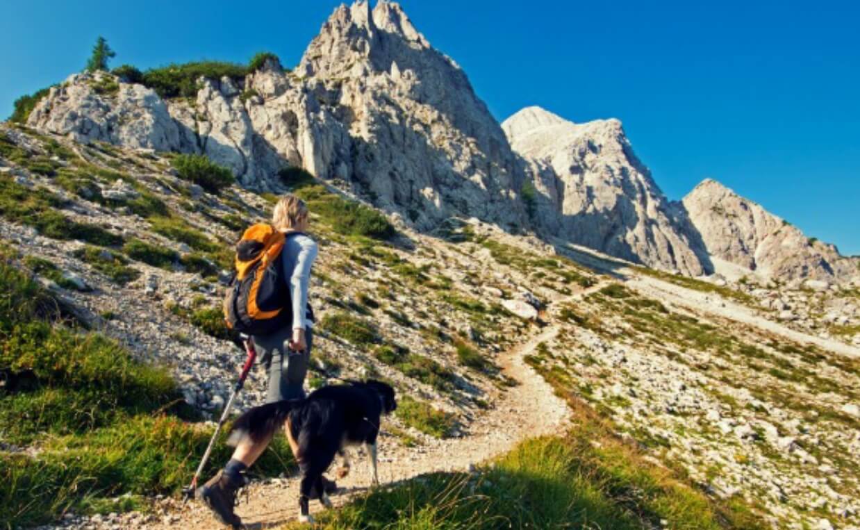 IS HIKING GOOD FOR DOGS - hiking mountain with dog