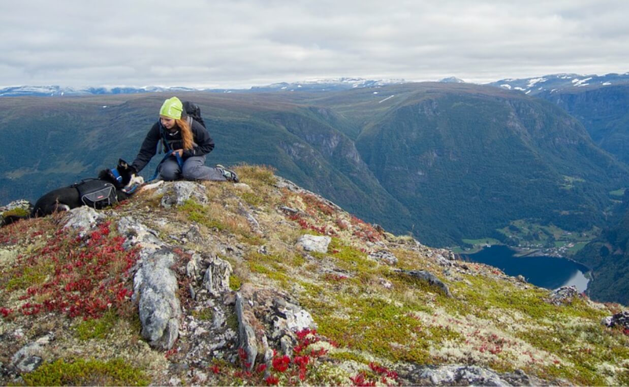 woman with german shepherd on top of mountain