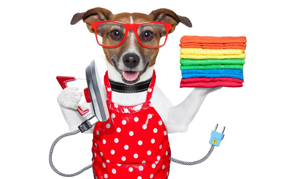 BRAIN EXERCISES teach dog housework