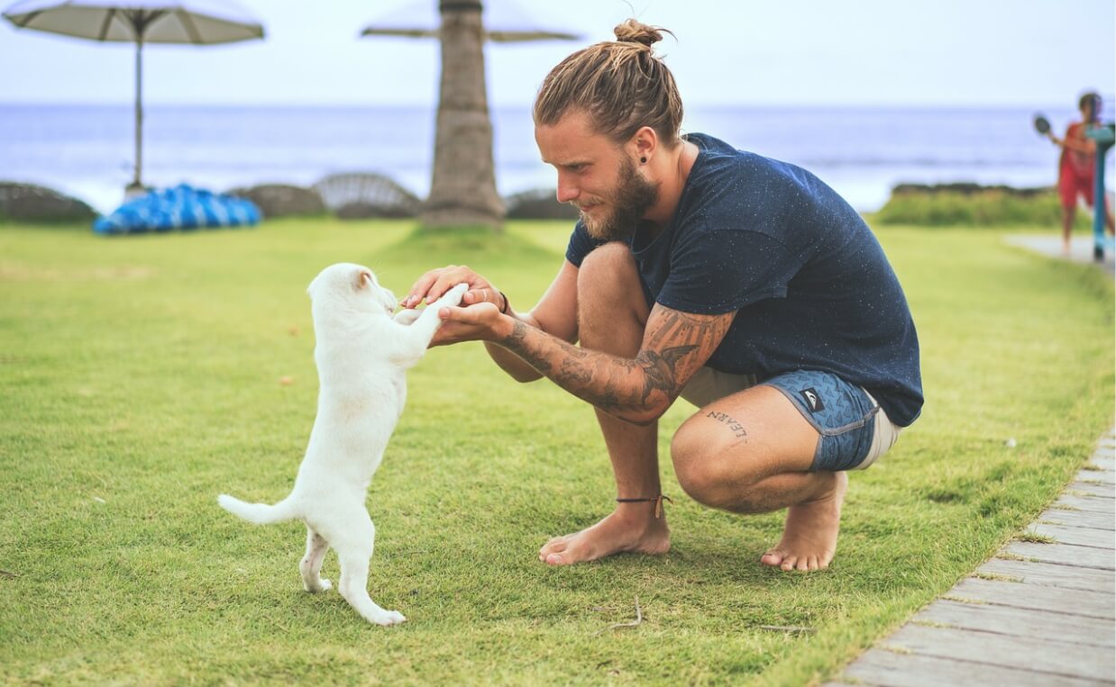 man playing with white puppy brain exercises