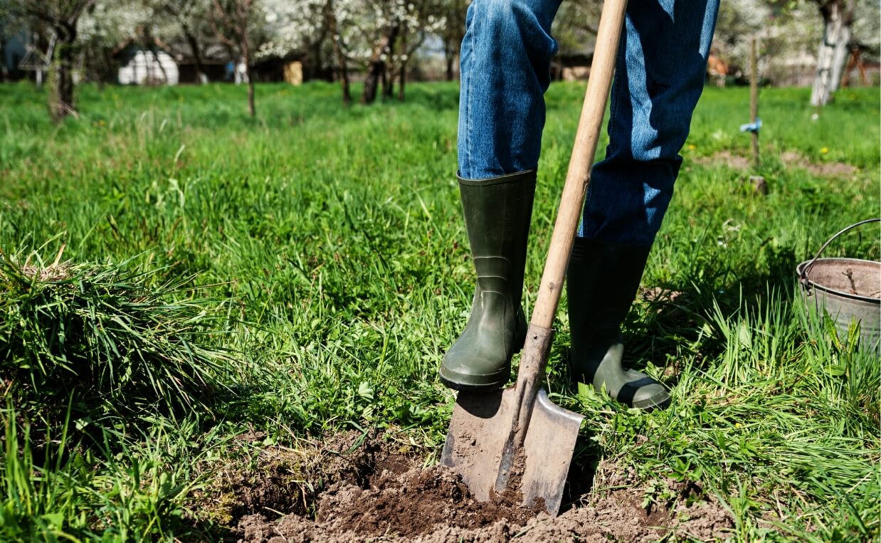 person shoveling hole from digging dog