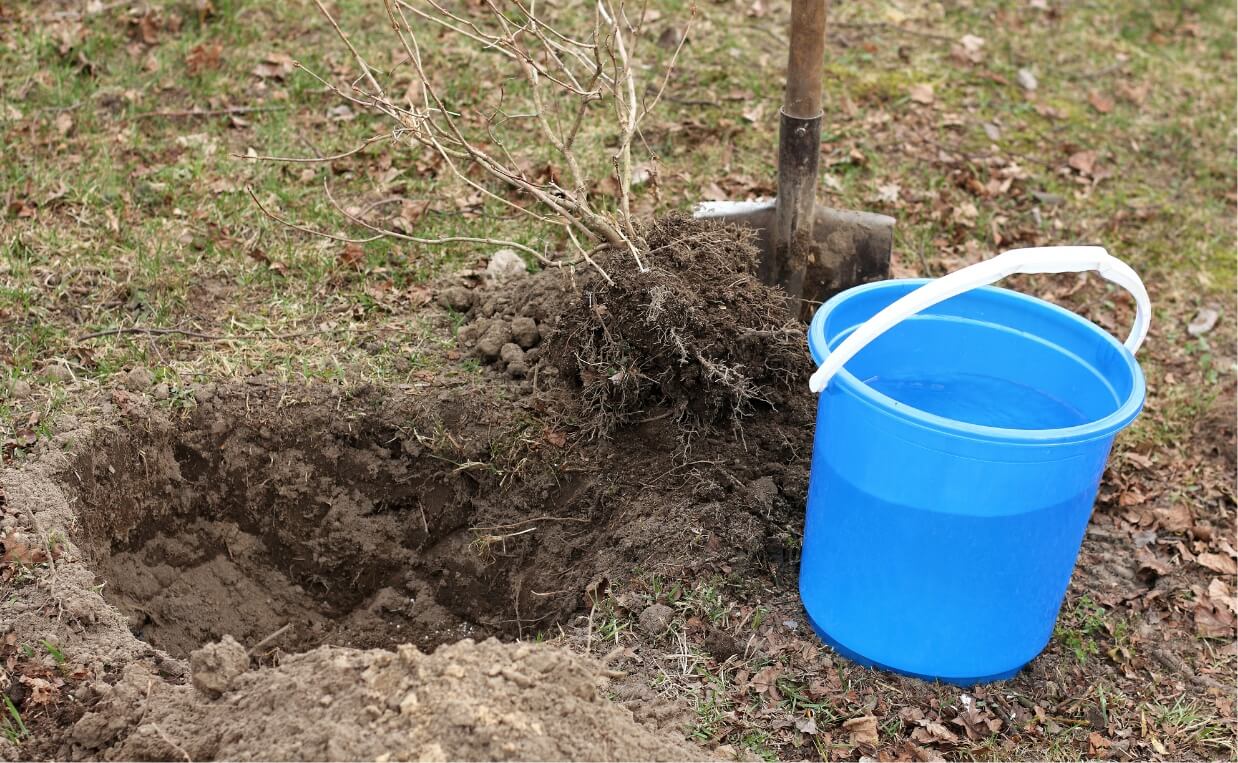 shovel hole dirt bucket of water