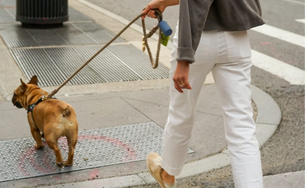 woman walking small bulldog with a comfortable loose leash